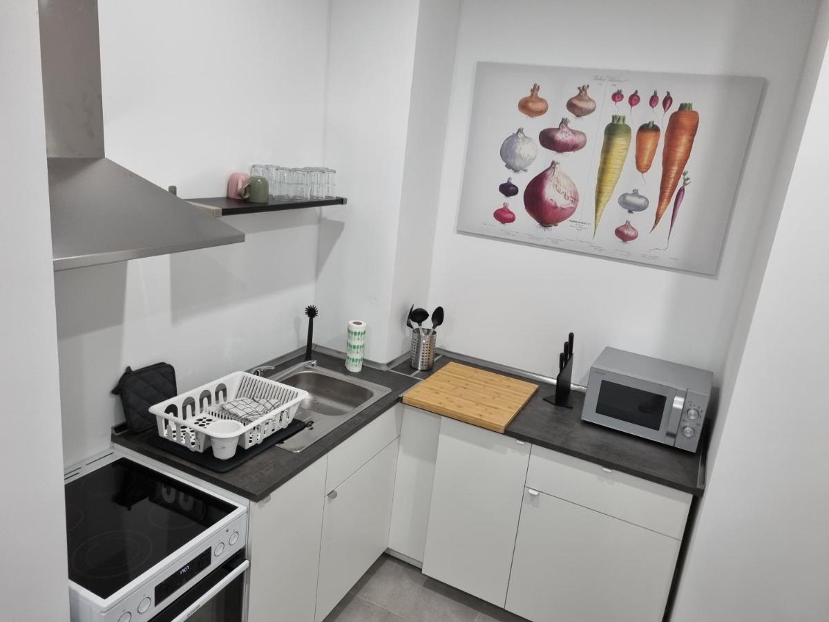 City Central Apartment House Kaiserslautern Buitenkant foto